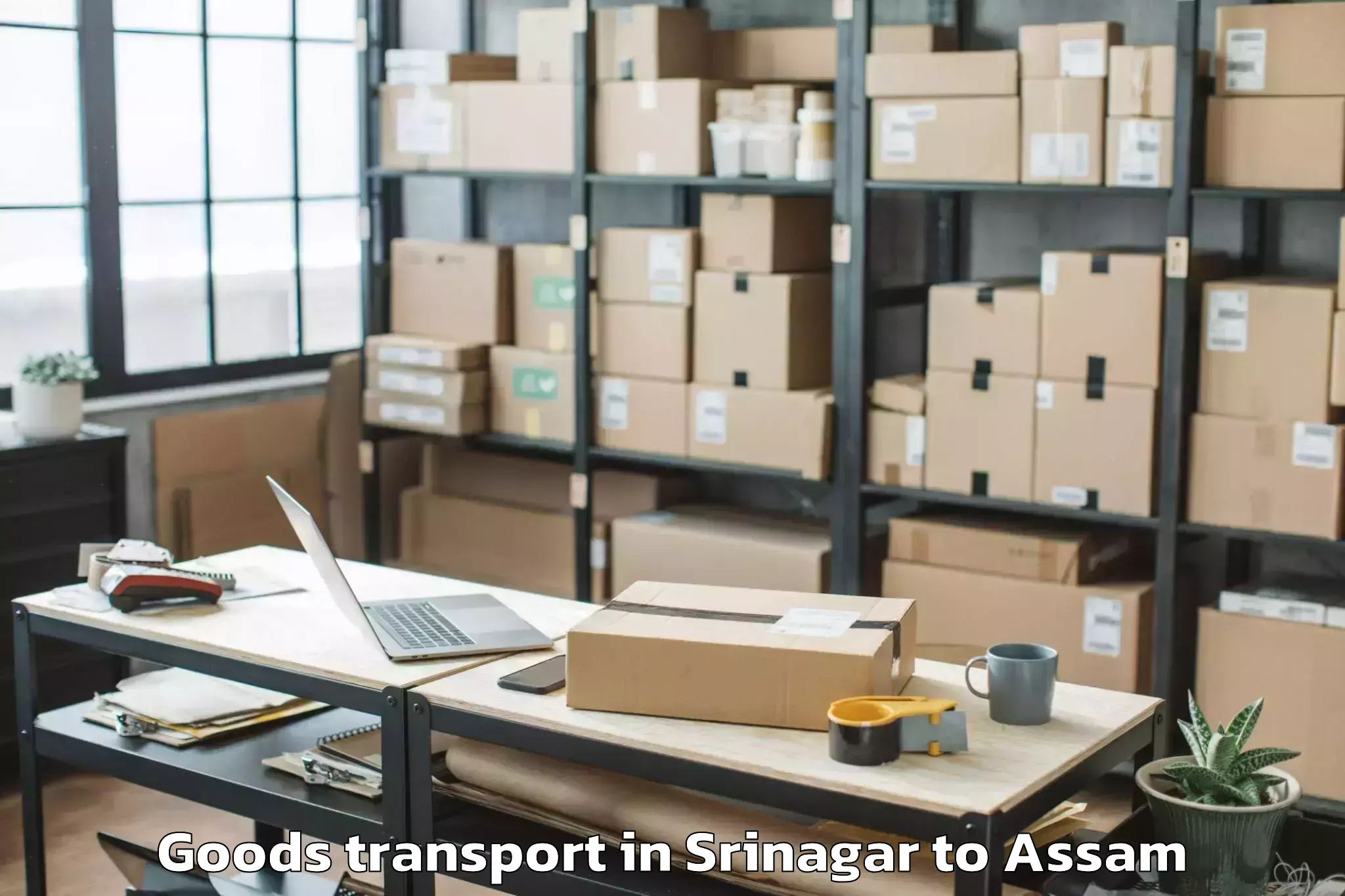 Hassle-Free Srinagar to Chhaygaon Goods Transport